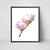 Magnolia flower painting abstract watercolor