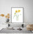 Narcissus flower daffodil painting abstract watercolor