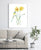 Narcissus flower daffodil painting abstract watercolor