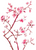Flower cherry blossom