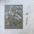 Flower daisy 2