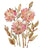 Chrysanthemum flower painting