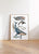 Whales types watercolor painting