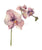 Orchid flower pink tropical plant painting
