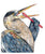 Grey heron brushing teeth bath watercolor