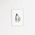 Oyster pearl shell coastal watercolor painting print