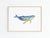 Humpback whale watercolor painting print