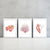 Set of 3 coral watercolor painting print
