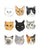 Cat types breed face painting watercolor