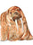 Walrus painting wall poster watercolor