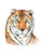 Tiger painting wall poster watercolor