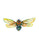 Cicada painting watercolour