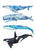 Set of 4 whale watercolor painting print