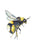 Watercolor Bumblebee