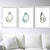 Set of 3 oyster pearl shell coastal watercolor painting print