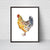 Chicken watercolor painting print