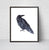 Raven watercolor painting print