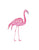 Set of 3 flamingo bird watercolor painting print