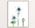 White anemone flower painting abstract watercolor
