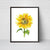 Sunflower flower painting yellow abstract watercolor