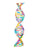 DNA genetic art print