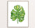 Set of 3 tropical leaves watercolor painting print