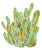 Cactus painting abstract watercolor