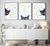 Set of 3 black cat butterfly peeking painting wall poster watercolor