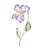 Set of 2 viola flowers watercolor painting print