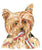Yorkie yorkshire terrier brushing teeth watercolor painting print