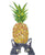 Pineapple tuxedo cat poster watercolor