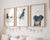 Set of 3 Rottweiler dog toilet painting